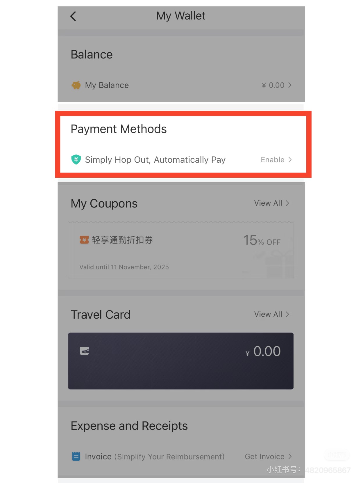 DiDi My Wallet — Payment Methods